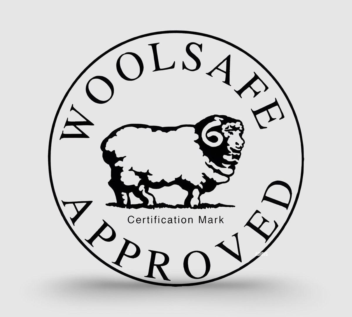 Prochem Natural Carpet Prespray E717 EcoFriendly Cleaning Solution