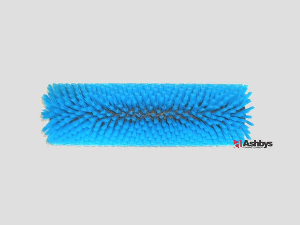 1 x Prochem Blue Standard Brush CA3810 for Fiberdri TM4